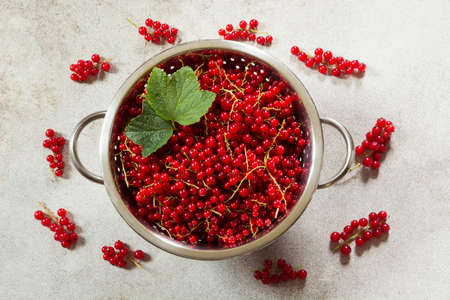 Colander full of freshly harvested red currants. Top view.の写真素材