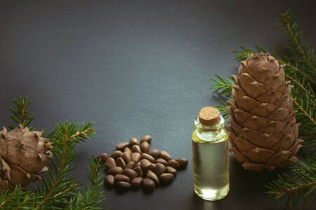 Cedar cone, branches and cedar oil on black background. Copy space.の写真素材