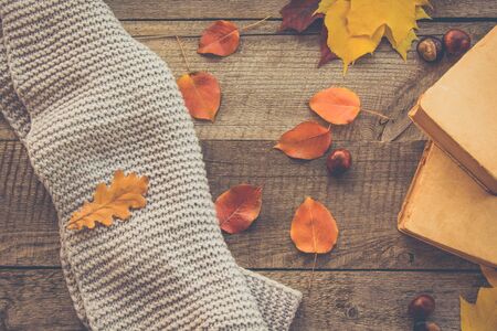 Autumn still life. Autumn leaves, open book on wooden board. Top view, vintage style. Flat lay. Matte image.の写真素材