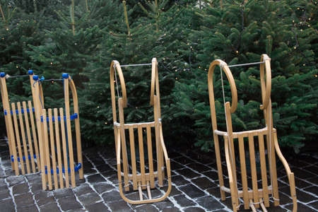 Christmas Fair. Sledge against the backdrop of a Christmas tree. Choise freshly cut Xmas tree at outdoor lot. Buying gifts at winter fair. Holiday time.の写真素材