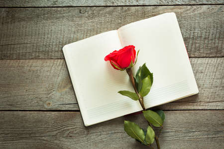 Red rose and notebook on wooden board. View from above.の写真素材