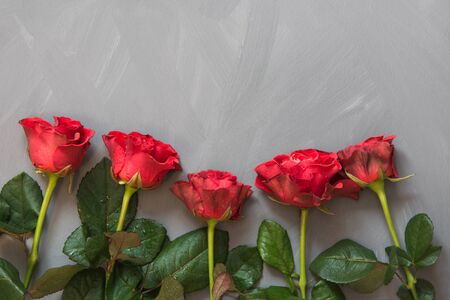 Red roses as frame on grey background. Valentine's card. Top view. Copy space.の写真素材