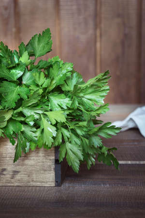 Fresh bunch of parsley in tray on dark rustic board. Close up.の写真素材