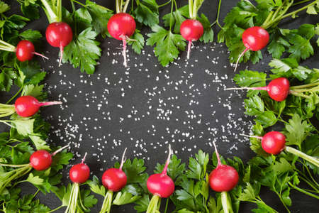 Fresh radish as border on black slate dish. Top view. Copy space. Close up.の写真素材