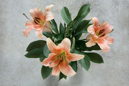 A beautiful bouquet of lilies and green leaves on a vintage background. View from above. Focus on the lilies.の写真素材