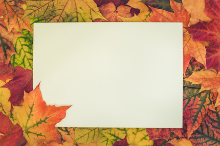 Autumn colorful leaves around white blank for your text. Top view and copy space. Fall concept....