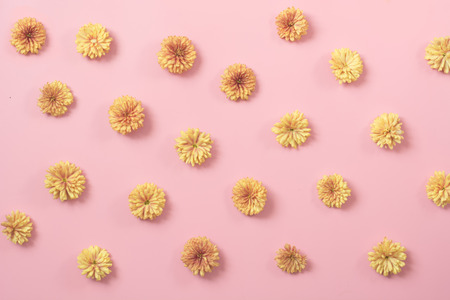 Golden-daisy on pastel pink background. Floral pattern. Fallの写真素材
