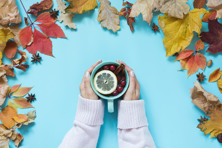 Fallen leaves and cup of cozy tea in female hand on punchy blue. Autumn composition as pattern. Top view.の写真素材