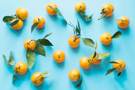 Fresh mandarin isolated on blue punchy pastel. Top view. Fruits pattern.の写真素材