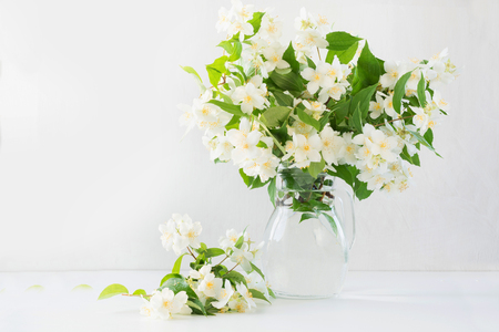 Beautiful bouquet of jasmine flowers in vase. Copy space. Gift Mother Day.の写真素材