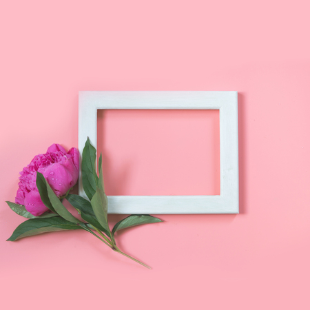 Beautiful pink peony flower and white frame for text on punchy pastel pink background. Copy space....