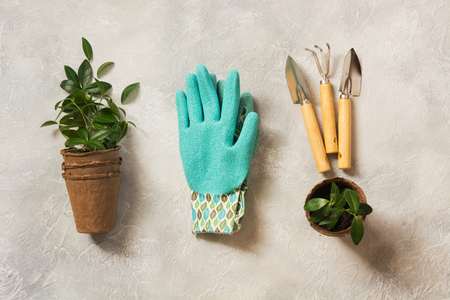 Gardening spring concept with green leaves and tools. Flat lay. Earth Day concept.の写真素材