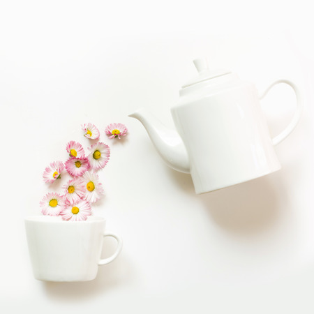 Cup of tea with daisy flowers on white background. Spring tea concept.の写真素材