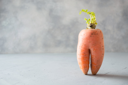 Ugly one organic carrot . Space for text. Concept organic natural vegetables.の写真素材