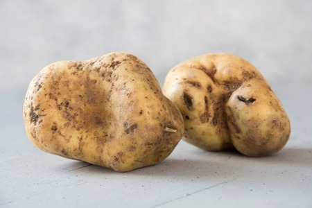 Ugly organic abnormal potatoes. Concept organic vegetables. Close up.の写真素材