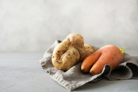 Ugly organic abnormal vegetables carrot and potatoes. Space for text. Concept organic vegetables.の写真素材