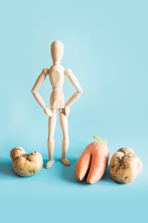 Concept of organic gardening and cultivation of natural vegetables. Wooden doll and large vegetables, potatoes and carrots.の写真素材