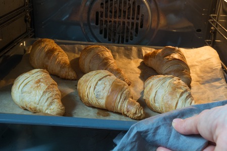 Fresh homemade croissants on baking tray in oven. French bakery concept. Culinary specialist checks...