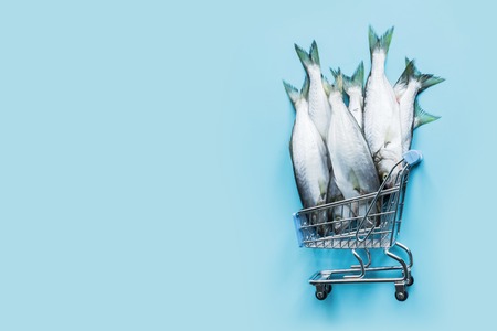 Bluefish in grocery trolley on pastel blue. Fish pattern with space for text. View from above.の写真素材