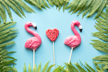 Two pink flamingo candy lollipop on blue background. Top view. Fun tropical jungle vacation.の写真素材