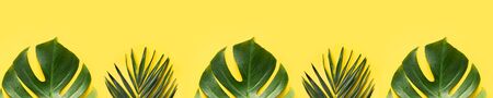Banner leaves of palm and monstera as border on yellow background. Copy space. Top view, flat lay.