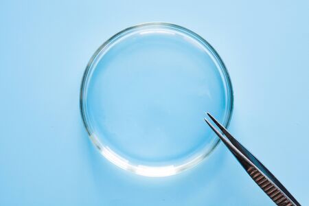 Empty Petri dish and tweezers in laboratory on blue. Chemical experiment. Close up. Top view.の写真素材