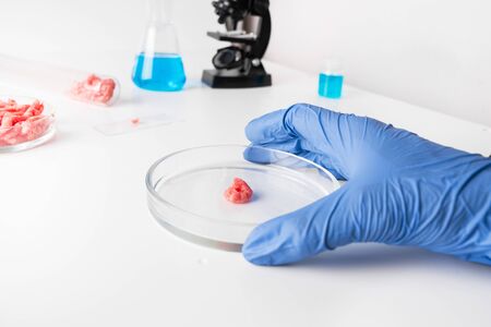 Minced meat in Petri dish in hands scientist. Close up. Chemical experiment. Laboratory science studies.の写真素材