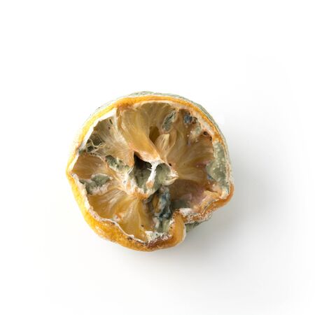 Ugly half lemon with mold on white background. Square image. Close up, isolated.の写真素材