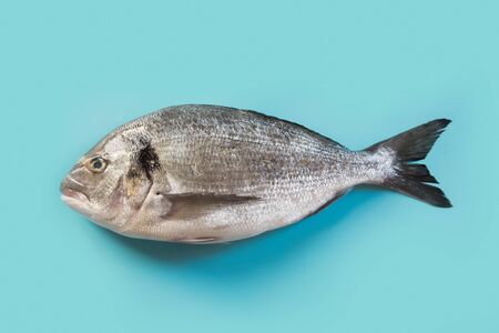 One dorado on pastel blue background. Fish pattern. Top view, flat lay. Concept capture, hook fish.の写真素材
