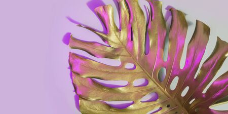 Monstera leaf painted in gold paint with trendy duotone neon color on pastel pink. Abstract pattern for design and space for text.の写真素材