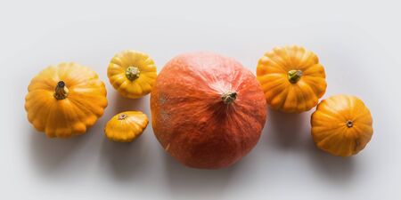 Banner of fresh orange pumpkin and pattypan squash on grey background. Top view. Flat lay. Template for your design. Space for text.の写真素材