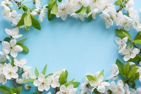 Spring white blossom branches as border on pastel blue background. Floral pattern. Space for text....