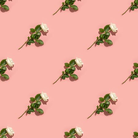 Seamless pattern of white rose flower with shadow on pink background. Mother's day background.の写真素材