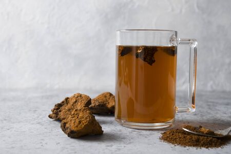 Organic Chaga tea in cup. Trendy Russian healthy infusion from birch mushroom on light background....