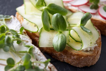 Sandwich on toast with fresh radish microgreen and cream cheese. Close up. Macro.