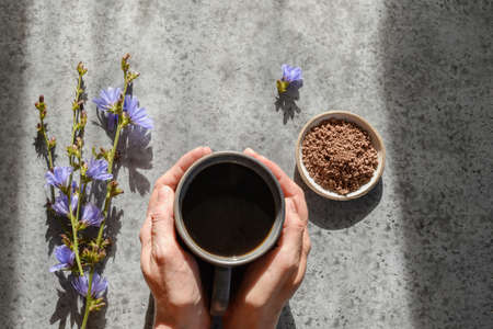 Useful chicory coffee substitute in woman hands on grey background with sunny shadow. Healthy herbal beverage. Top view.の写真素材
