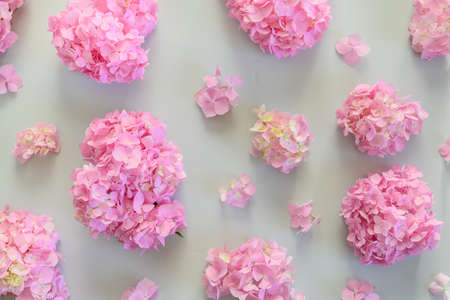 Beautiful pattern of pink hydrangea flowers on grey. Floral pastel abstract background.