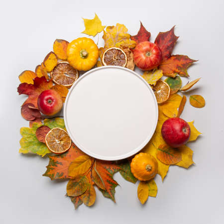 Fall harvest of apple and colorful leaves and white plate in the center with space for text. View from above.の写真素材