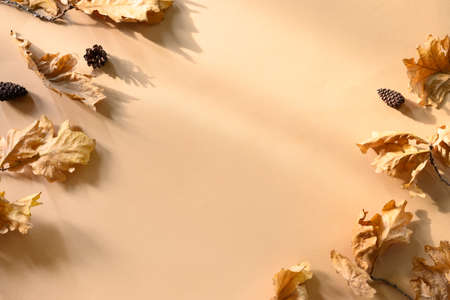 Frame of fallen golden oak leaves on beige background. Autumn pattern with copy space. View from...