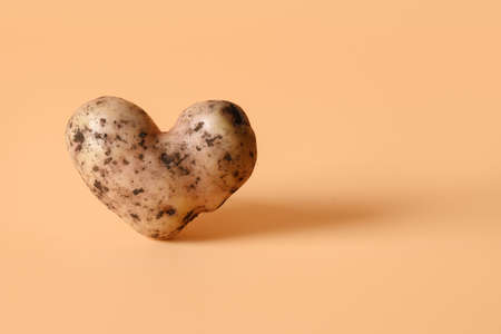 Abnormal potato in shape of heart on beige background. Concept love organic natural homegrown ugly vegetables. Close up. Copy space.の写真素材