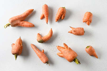 Abnormal ugly organic carrots on white background. View from above.の写真素材