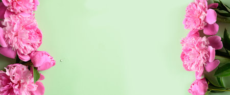 Banner of pink peony flowers on green background. Floral pattern. Space for text. Mother day.の写真素材
