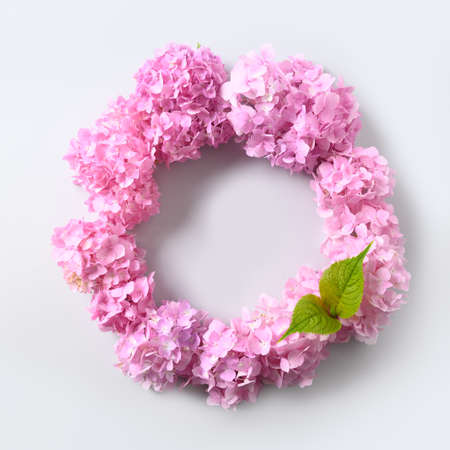 Pink hydrangea flowers as wreath on grey background. View from above. Love concept. Space for text. Mothers Day Creative Greeting Card. Spring card template.の写真素材