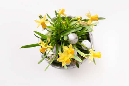 Easter flowers composition with narcissus, hyacinth and festive eggs in wicker basket on white background.の写真素材