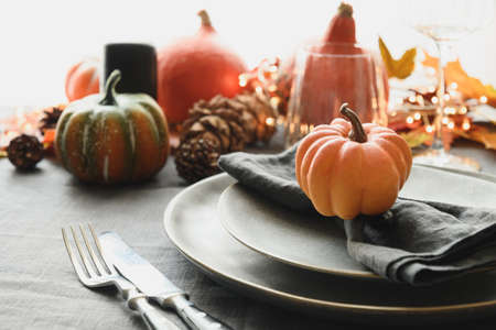 Halloween and Thanksgiving day dinner decorated fallen leaves, pumpkins, spices, grey plate.の写真素材