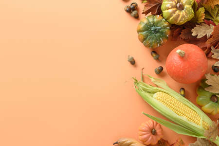 Fall harvest, pumpkins, corncob, colorful leaves on orange background. Autumn, Thanksgiving Day mock up.の写真素材
