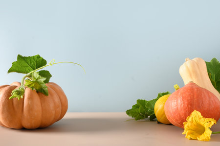 Organic ripe pumpkins on colorful blue and beige background. Autumn harvest for Thanksgiving Day or Halloween Party.の写真素材
