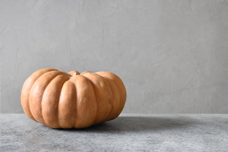 Organic pumpkin on a gray background. Autumn harvest for Thanksgiving Day or Halloween Party.の写真素材