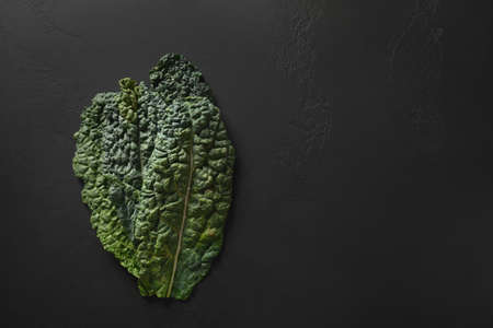 Fresh leaves of popular tuscan kale salad on black background with copy space.の写真素材