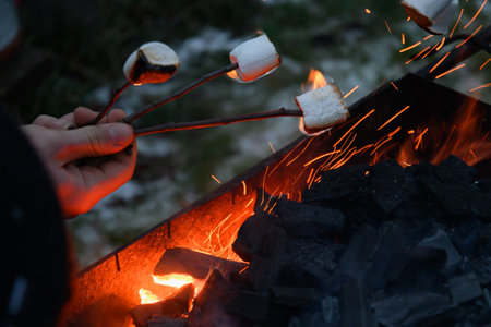 Roasting marshmallow on a fire at the evening.の写真素材